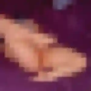 Profil de Gilberte à Bayeux (24 ans) - plan cul discret