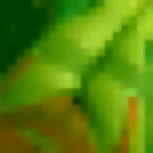 Rejoins Margot, 22 ans à Donville-les-Bains en privé