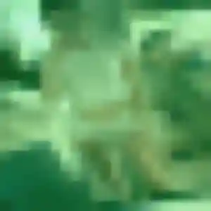 Sexy Rania, 28 ans à Fleury-sur-Orne - la contacter