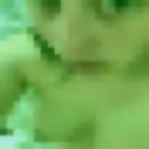 Emilie, 21 ans, disponible à Harfleur pour un plan cul