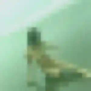 Kim, 38 ans, connectée à La Chapelle-Longueville pour une rencontre coquine