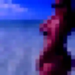 Marie-Pierre, 23 ans, disponible à Luc-sur-Mer pour un plan cul