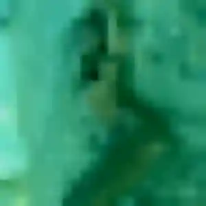 Thais, femme de 31 ans cherche plan cul à Saint-Pierre-en-Auge