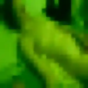 Profil de Lina à Torigny-les-Villes (21 ans) - plan cul anonyme