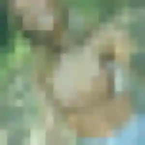 Découvre Marie-Jose, 28 ans à Verson en privé